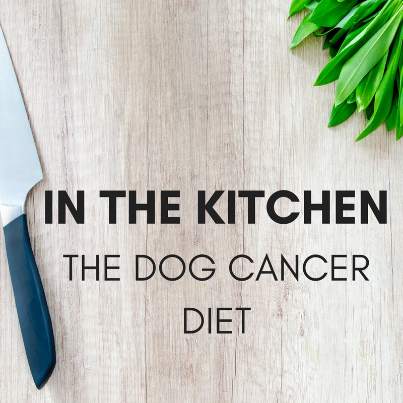 Dog Cancer Diet Dog Cancer Shop UK