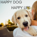 Happy Dog, Happy Life