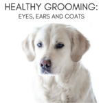 Healthy Grooming - Eyes, Ears and Coats