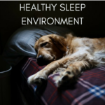 Healthy Sleep Environment